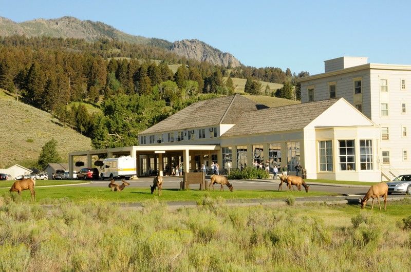 Mammoth Hot Springs Hotel Buitenkant foto